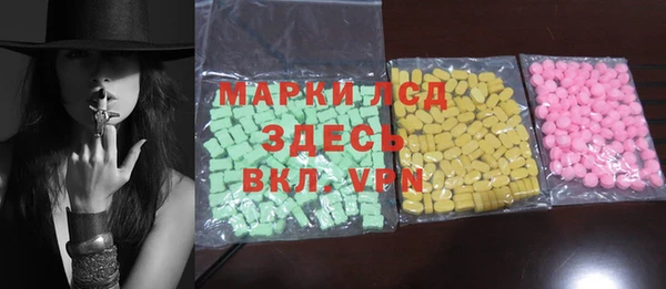 стаф Магас