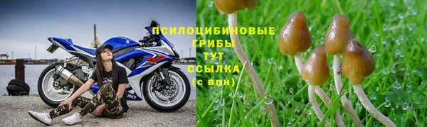 спиды Ленск